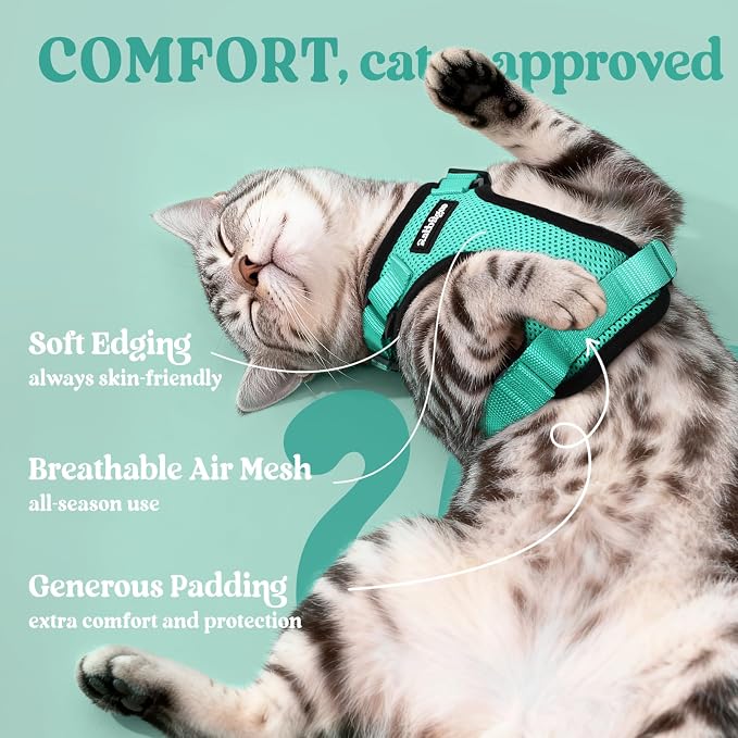 rabbitgoo Cat Harness and Leash Set, Escape Proof Vest, Emerald | Soft Breathable Mesh, Easy Adjustable Fit, Snap Buckles, Sturdy Clip, Reflective Strips, for Medium to Large Cats Walks, M