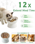 TRUVIC Ceramic Slow Feeder Cat Bowl, 15° Tilted Elevated Cat Slow Eating Bowl for Neck Protection, Anti Vomiting Dog Slow Feeder, Whisker Friendly & No Black Chin for Cats and Small Dogs, White