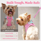 rabbitgoo Dog Harness Small Sized and Leash Set, Step-in Puppy Pet Vest | Light, Soft, Breathable Air Mesh, Easy on and Remove with Hook & Loop, Secure Reflective for Walking, Light Pink XS