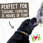 HuggleHounds Plush Dog Toy - Fuzzy Dog Toy, Soft Fleece, Interactive Durable Stuffed for Small and Large Breeds with Squeaker - Feller Squirrel, Small