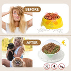Ant Proof No Spill Ceramic Cat Food Bowls,15° Tilted Neck Support,Non-Slip Base,Easy Clean Pet Water Dishes for Cat and Small Dog Indoor or Outdoor Use(1 Pack)