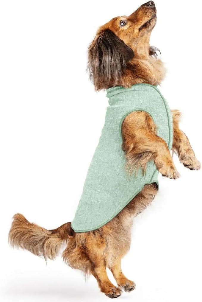 Goldpaw Dog Sun Shirt with UV Protection - Lightweight, Cooling Sun Protection Clothing for Small Dogs - Reduce Heat Absorption - Made in the USA - Machine Washable - Pistachio Green - Size 12