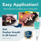 DentaAnimal No Brush Enzymatic Dog Toothpaste Vet Formulated 1.35 oz | Enzymatic Toothpaste for Dogs Easy Application Pet Dental Gel Breath Freshener Cat Toothpaste Dr Dental Wan Made in Japan