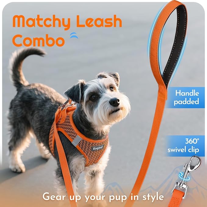 Eagloo Small Dog Harness and Leash Set, Step in Extra Small Puppy Pet Vest | Light, Soft, Breathable Air Mesh, Easy on and off with Hook & Loop, Reflective for Safe Walking, Orange, XXS