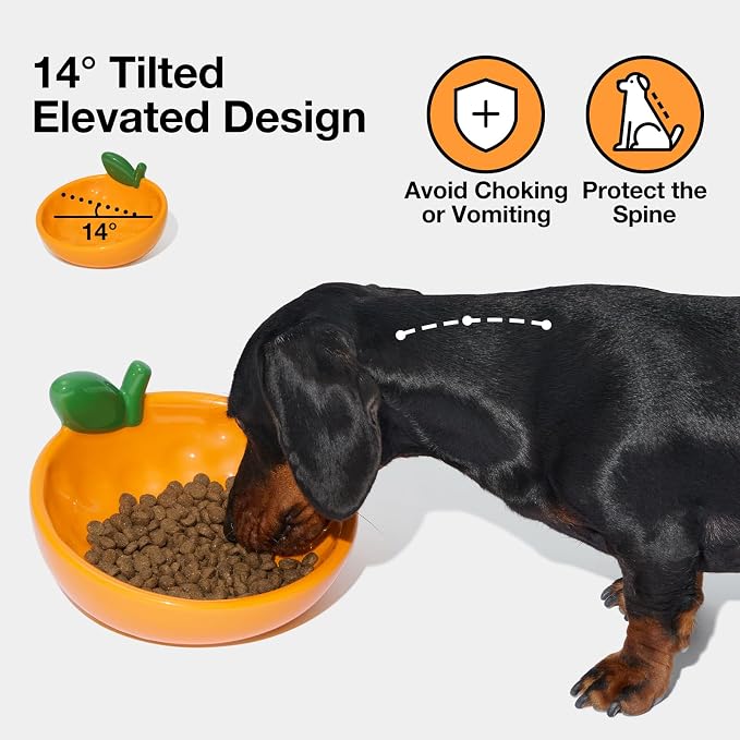 VETRESKA Ceramic Pet Bowl, Tilted Design Pet Feeder for Food and Water | Anti Vomit Cat Bowls for Indoor Cats Cute Tangerine Cat Bowl Dishwasher Safe