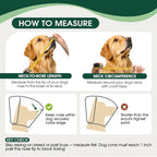 Dog Cone for Large Dogs After Surgery, Adjustable Soft Recovery Cone Collar for Dogs to Stop Licking, Professional Elizabethan Collar for Pet, Recovery Cones for Wound Healing & Hot Spots