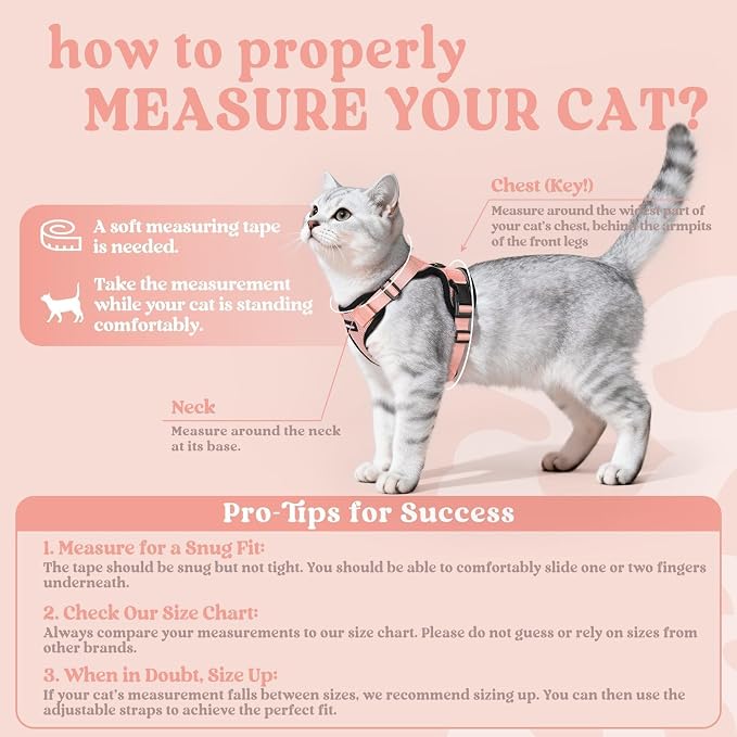 rabbitgoo Cat Harness and Leash Set, Escape Proof Vest, Light Salmon Pink | Soft Breathable Mesh, Easy Adjustable Fit, Snap Buckles, Sturdy Clip, Reflective Strips, for Medium to Large Cats Walks, M