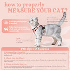 rabbitgoo Cat Harness and Leash Set, Escape Proof Vest, Light Salmon Pink | Soft Breathable Mesh, Easy Adjustable Fit, Snap Buckles, Sturdy Clip, Reflective Strips, for Medium to Large Cats Walks, M