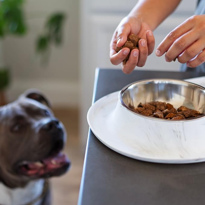 Messy Mutts Double Silicone Dog Feeder, Stainless Bowls, Medium, Marble | Non-Slip Silicone Double Dog Feeder With Two Removable Stainless Steel Bowls For Food And Water