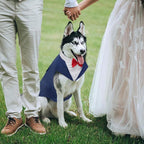 Kuoser Dog Tuxedo, Dog Suit and Bandana Set, Dogs Costume with D-Ring | Formal Dog Outfit with Detachable Bowtie Collar for Wedding, Birthday, Party, Christmas, Halloween, Blue XL