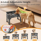 URPOWER Mess Proof Elevated Dog Bowls, Splash Guard Raised Bowl Stand | 4 Height Adjustable Raised Stand with 2 Stainless Steel Food Bowls & Licking Plate for Small, Medium & Large Dogs