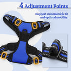 rabbitgoo Dog Harness, No Pull for Small Dogs with 2 Leash Clips, Pet Vest | No Choke with Handle, Adjustable Soft Padded, Reflective, Easy Control for Walking, Dazzling Blue, Small