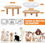 Lusifaco Shallow Wide Elevated Cat Bowls Whisker Fatigue (White,Set of 1) | 5.9 Inch 2 Height Raised Ceramic Cat Dishes with Bamboo Stand, Flat Pet Water Food Plates Feeding Station for Indoor Kitten
