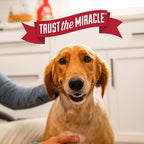 Nature’s Miracle Advanced Dog Stain & Odor Eliminator Foam, 17.5 oz (6 Pk) | Enzymatic Cleaner Eliminates the Toughest Dog Messes, Foam Penetrates Into the Carpet, Safe For Pets and Home*, Fresh Scent