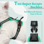 rabbitgoo Dog Harness, No Pull for Small Dogs with 2 Leash Clips, Pet Vest | No Choke with Handle, Adjustable Soft Padded, Reflective, Easy Control for Walking, Black & Turquoise, X-Small