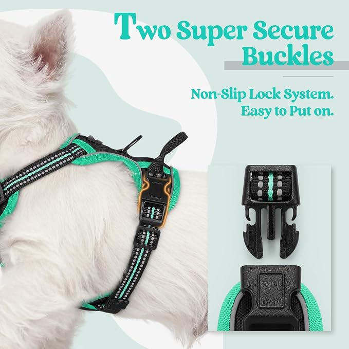 rabbitgoo Dog Harness, No Pull for Small Dogs with 2 Leash Clips, Pet Vest | No Choke with Handle, Adjustable Soft Padded, Reflective, Easy Control for Walking, Black & Turquoise, X-Small