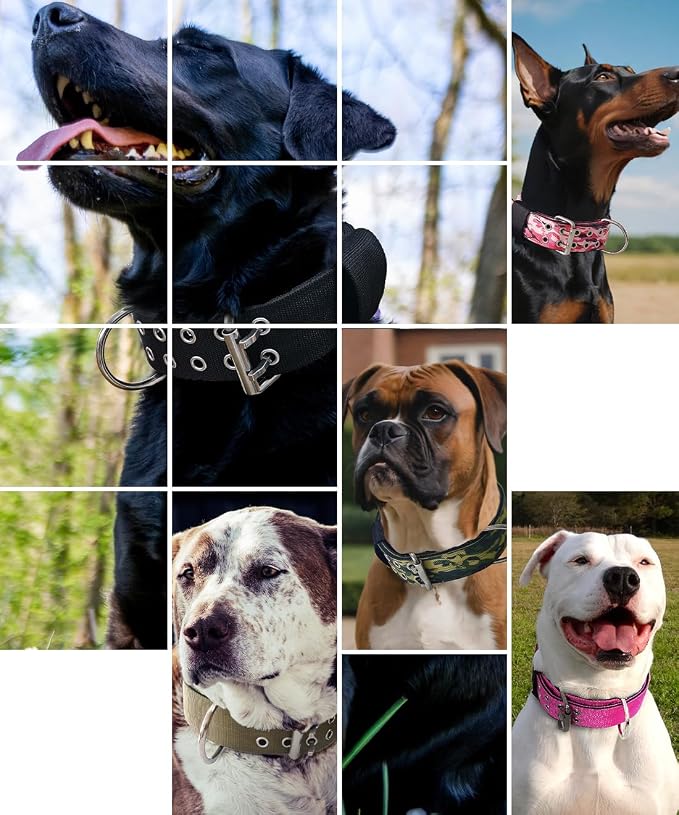 Dog Collar for Large Dogs, with Handle 2" Wide Heavy Duty, Blush-M | 1/3in Thick Military Nylon and Neoprene Padded plus Stainless Steel Pin Buckle,for Strong and Garint Breeds,Neck Protector