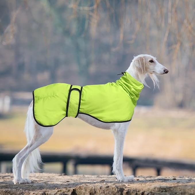 Greyhound Whippet Raincoat Waterproof with Reflective Stripe high Neck fit for Italian Greyhounds Whippets Long Back Breeds - Light Green - XXL