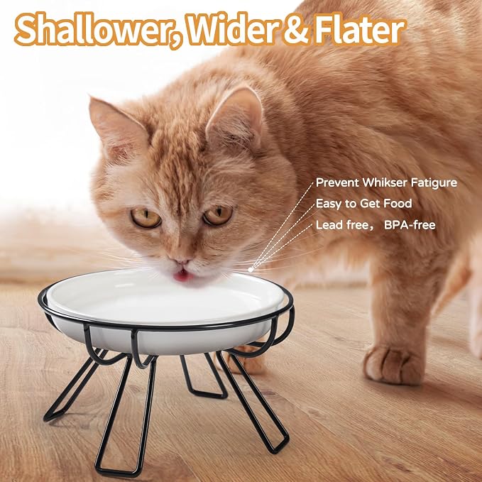 Presents The Ultimate Cat Dining Set: 5.9 inch Ceramic Water Bowl and Whisker-Friendly and Anti-Vomiting Plates.Elevated Bowl, Raised Ceramic Dish with Metal Stand