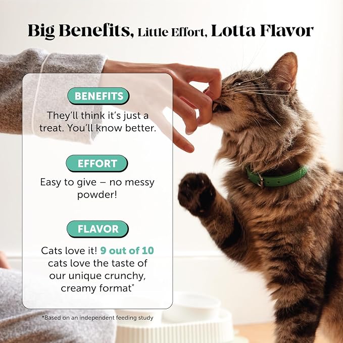 Fresh Breath Dental Bites for Cats – Crunchy & Creamy Cat Dental Treats for Fresh Breath, Tartar & Plaque Control – Dual-Texture Cat Oral Care Bites for Bright Teeth & Healthy Gums – 30 Day Supply