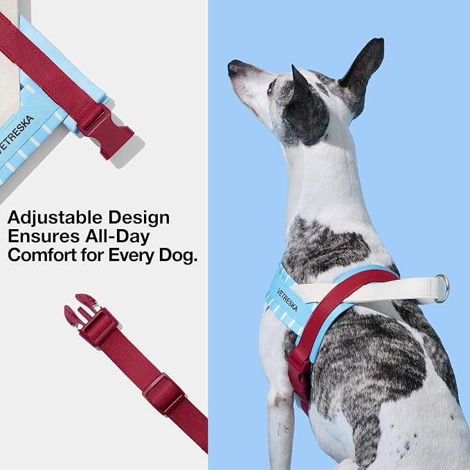 VETRESKA Dog Harness and Leash Set, Adjustable Pet Harness Easy Control, S | No Choke Dog Harness for Small, Medium Dogs, Cats, Kitten, Dog Vest Harness with Anti-Tangle Leash (Misty Melo)