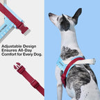 VETRESKA Dog Harness Small Sized Dog, Adjustable No Choke Puppy Harness XS | No Pull, Easy Control Pet Harness Vest for Dogs, Cat, Kitten, Dog Harness with Anti-Tangle Dog Leash Set (Misty Melo)