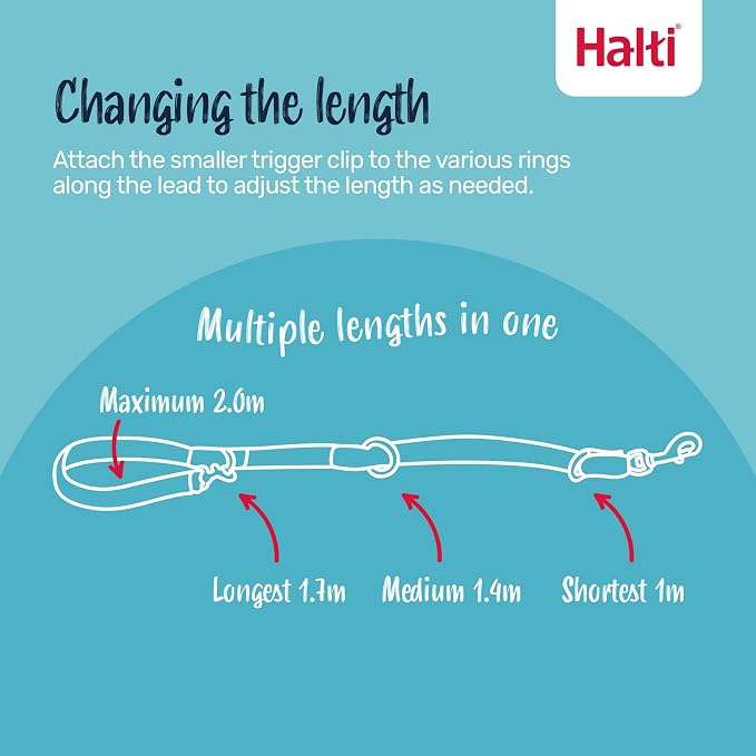 Halti Training Dog Leash | Size Small, Burnt Orange, 2m | No-Pull Double-Ended Dog Leash | Light, Soft & Durable | Ideal for Obedience Training & Everyday Walks with Dogs & Puppies
