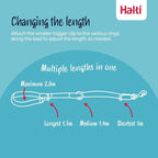 Halti Training Dog Leash | Size Small, Desert Sand, 2m | No-Pull Double-Ended Dog Leash | Light, Soft & Durable | Ideal for Obedience Training & Everyday Walks with Dogs & Puppies