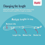 Halti Training Leash - Multifunctional Double-Ended Dog Leash, Ideal for Anti-Pulling Dog Training. Lightweight, Soft & Durable. Suitable for Puppies and Small Dogs (Size Small, Red, 2m)
