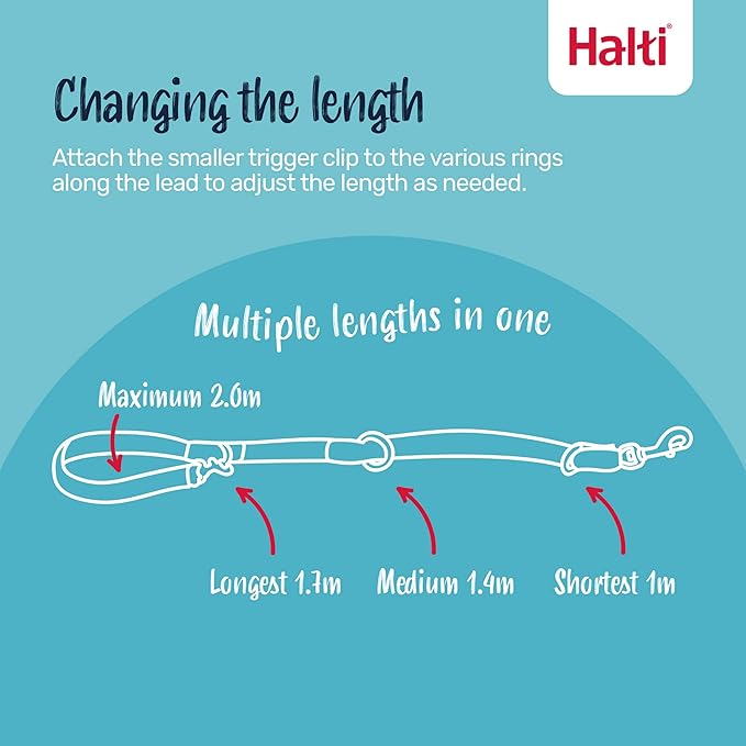 Halti Training Dog Leash | Size Large, Burnt Orange, 2m | No-Pull Double-Ended Dog Leash | Light, Soft & Durable | Ideal for Obedience Training & Everyday Walks with Dogs & Puppies