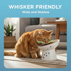 Necoichi Ceramic Elevated Cat Food Bowl, 15° Tilted (Cat, Regular Tilted)