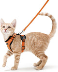 rabbitgoo Cat Harness and Leash Set, Escape Proof Vest, Orange | Soft Breathable Mesh, Easy Adjustable Fit, Snap Buckles, Sturdy Clip, Reflective Strips, for Average Cats Walks, S