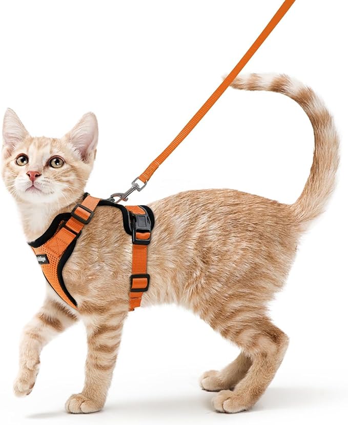 rabbitgoo Cat Harness and Leash Set, Escape Proof Vest, Orange | Soft Breathable Mesh, Easy Adjustable Fit, Snap Buckles, Sturdy Clip, Reflective Strips, for Average Cats Walks, S
