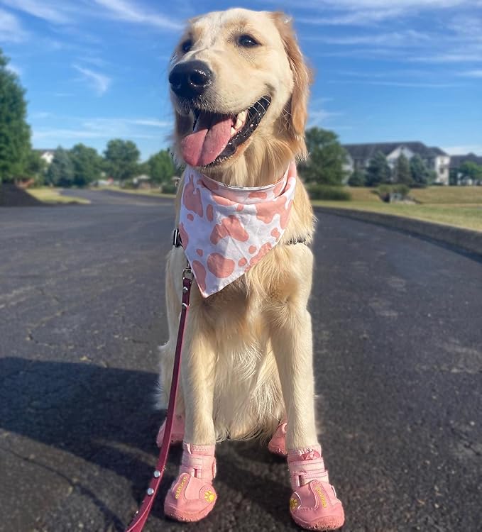 QUMY Dog Shoes for Hot Pavement, Dog Snow Boots & Paw Protectors for Winter | Dog Booties Medium Large Size Dogs, Water-resistant in the Rain, Outdoor Walking, Indoor Hardfloors Skid-resistant Sole Pink