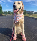 QUMY Dog Shoes for Hot Pavement, Dog Snow Boots & Paw Protectors for Winter | Dog Booties Medium Large Size Dogs, Water-resistant in the Rain, Outdoor Walking, Indoor Hardfloors Skid-resistant Sole Pink