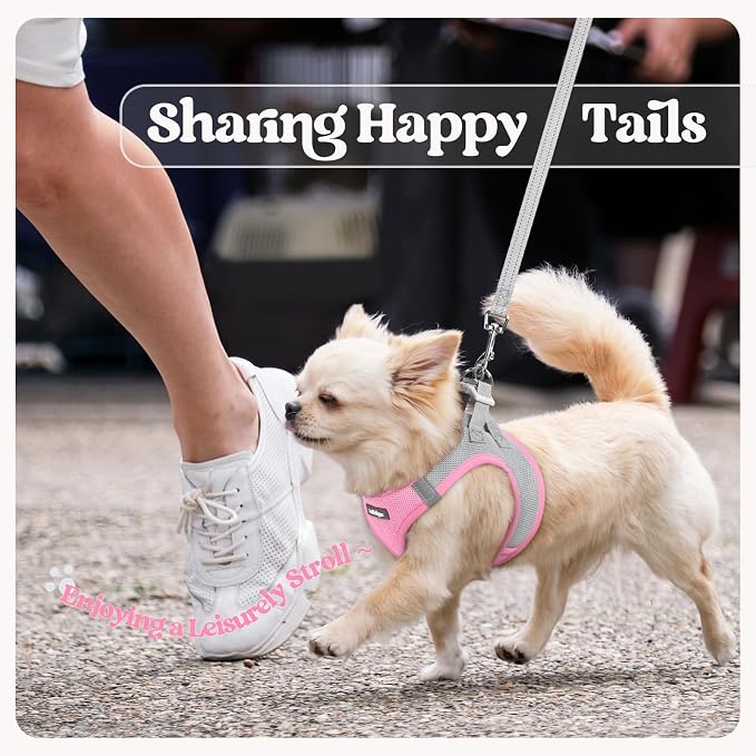 rabbitgoo Dog Harness Small Sized and Leash Set, Step-in Puppy Pet Vest | Light, Soft, Breathable Air Mesh, Easy on and Remove with Hook & Loop, Secure Reflective for Walking, Light Pink & Gray S