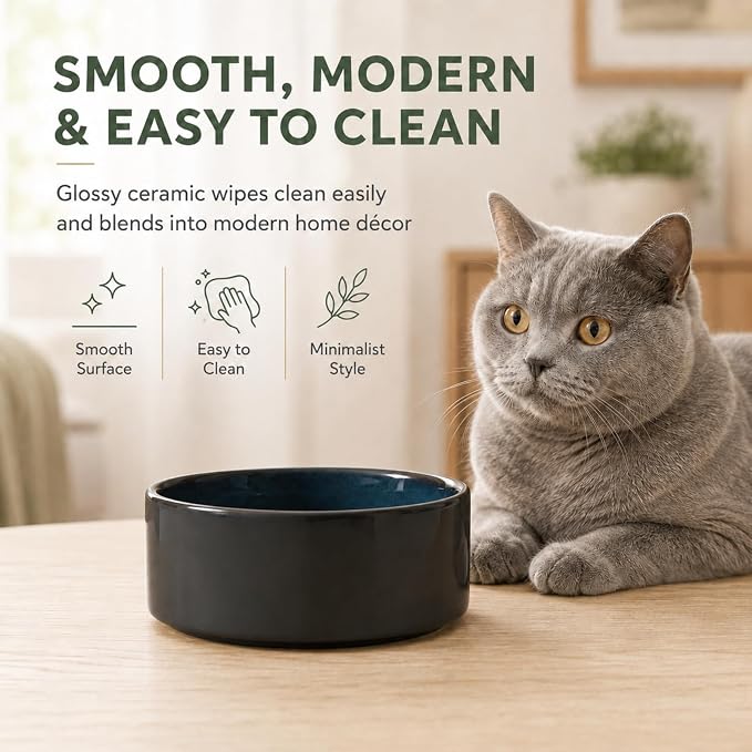 Havniva Cat Bowls Set of Two, 5.1” Ceramic Cat Food and Water Bowls | Cat Food Bowls Whisker Friendly, Non-Slip Base, Food-Grade Ceramic, Wide Opening, Dishwasher Safe, Cat Bowls for Indoor Cats