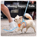 rabbitgoo Dog Harness Medium Sized and Leash Set, Step-in Puppy Pet Vest | Light, Soft, Breathable Air Mesh, Easy on and Remove with Hook & Loop, Secure Reflective for Walking, Blue & Orange XL