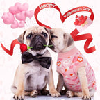 Kuoser Dog Surgery Recovery Suit, Valentine's Day Doggie Surgical Shirt for Female Male Dogs, Pet Onesies for Small Medium LargeDogs