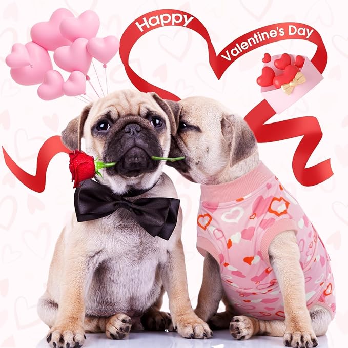 Kuoser Dog Surgery Recovery Suit, Valentine's Day Doggie Surgical Shirt for Female Male Dogs, Pet Onesies for Small Medium LargeDogs