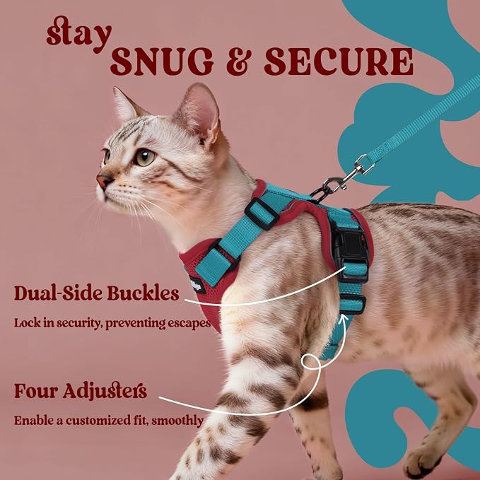 rabbitgoo Cat Harness and Leash Set, Escape Proof Vest, Red & Teal | Soft Breathable Mesh, Easy Adjustable Fit, Snap Buckles, Sturdy Clip, Reflective Strips, for Small & Average Cats Walks, Xs