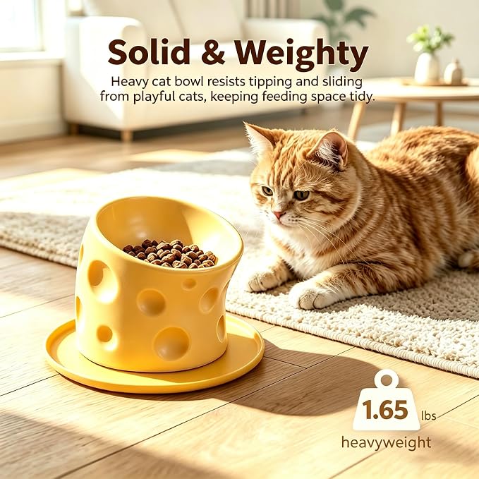 Ceramic Raised Cat Bowls, Elevated Cat Bowls with Food Mat | Anti-Vomiting & Spine Protection, Cheese-shaped, Whisker Friendly Pet Bowl, Dishwasher and Microwave Safe