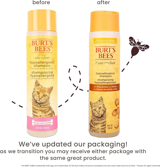 Burts Bees for Pets Hypoallergenic Cat Shampoo, Unscented, 10 Fl Oz, 2-Pk | Gentle shea butter and honey formula for indoor cats with dry or sensitive skin, pH balanced