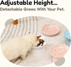 Unbreakable Raised Slow Feeder Bowl for Cats and Small Dogs, Elevated Cat Bowls, Detachable Slow Feede Bowl, Heavy Weighted, Non-Slip Feeder, Dry & Wet Food, Whisker Friendly Flat Plates (White