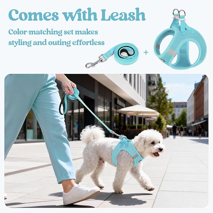 rabbitgoo Dog Harness Small Sized and Leash Set, Step-in Puppy Pet Vest | Light, Soft, Breathable Air Mesh, Easy on and Remove with Hook & Loop, Secure Reflective for Walking, Mint Blue XS