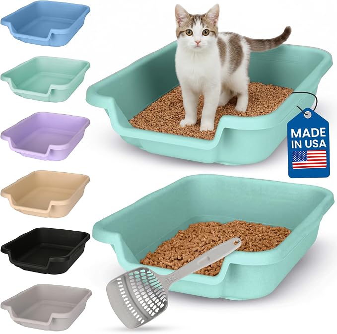 KittyGohere Senior Cat Litter Box Small with Scoop, 2 Pack Apple Green | Open Top Low Entrance Kitty Litter Box With With Long-handle Jumbo Scoop, Lightweight & Durable Litters Box, Made in USA