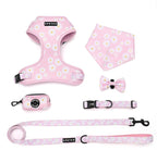 Small Dog Harness and Leash Set of 6, No Pull Soft Lightweight Mesh Puppy Harness， Adjustable Cute Floral Pattern Pet Harness for Small Medium Dogs (Pink Flowers, S)