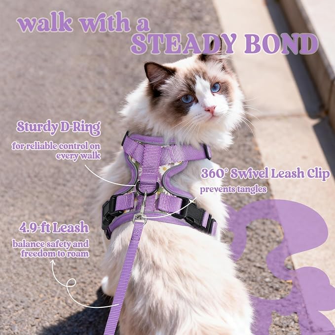 rabbitgoo Cat Harness and Leash Set, Escape Proof Vest, Purr-ple Daisy | Soft Breathable Mesh, Easy Adjustable Fit, Snap Buckles, Sturdy Clip, Reflective Strips, for Kittens & Small Cats Walks, Xxs