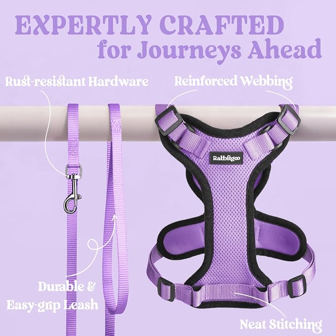 rabbitgoo Cat Harness and Leash Set, Escape Proof Vest, Light Purple | Soft Breathable Mesh, Easy Adjustable Fit, Snap Buckles, Sturdy Clip, Reflective Strips, for Small & Average Cats Walks, Xs
