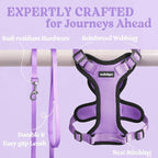 rabbitgoo Cat Harness and Leash Set, Escape Proof Vest, Light Purple | Soft Breathable Mesh, Easy Adjustable Fit, Snap Buckles, Sturdy Clip, Reflective Strips, for Medium to Large Cats Walks, M